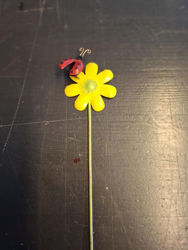 Hagestang Blomst med bie