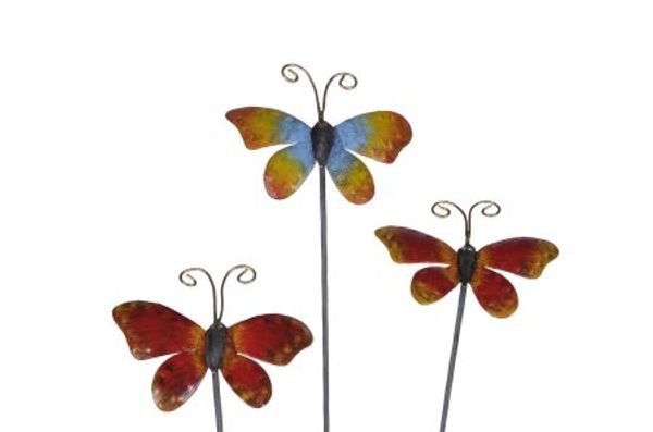 Hovedbilde  Hagestang sommerfugl 