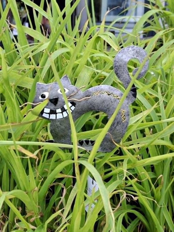  Hagestang, sittende katt 