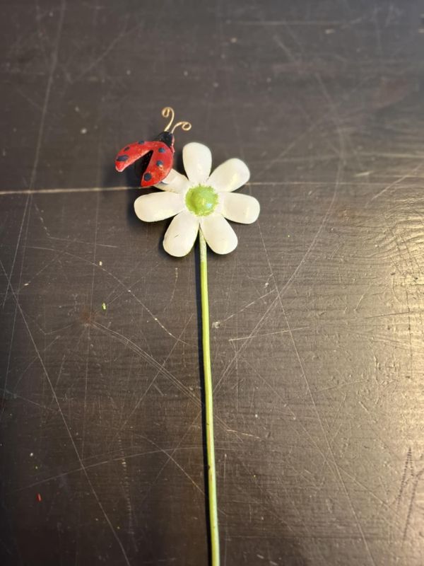 Hagestang Blomst med bie